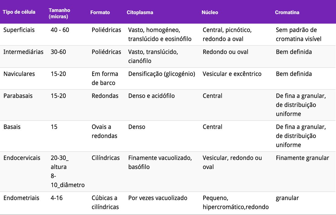 Tabela C2: Resumo das principais características celulares endo-cervicais.
